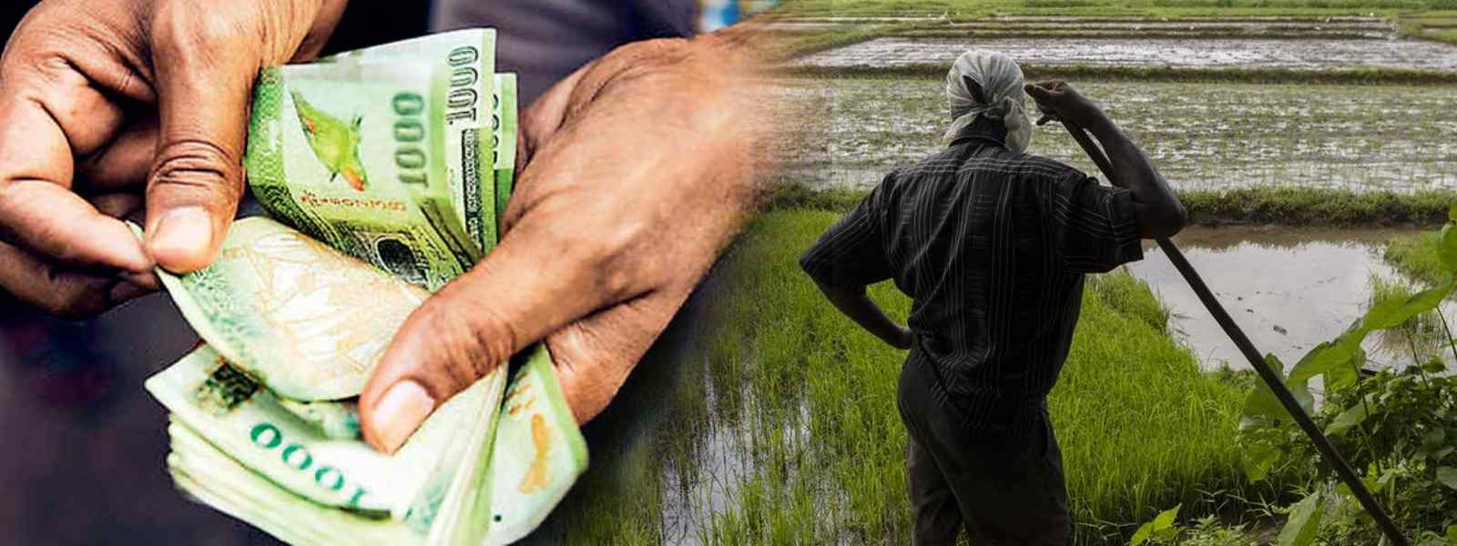 මාස 6කින් ලබා නොගත් ගොවි විශ්‍රාම වැටුප්වලට වෙන දේ